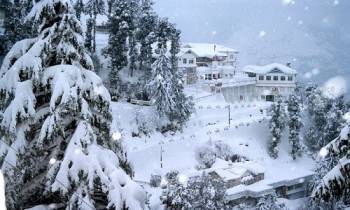 Himachal : Shimla Volvo Tour Package